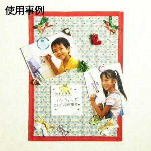 pitazo（ピタゾー）特殊級吸着シート　実例